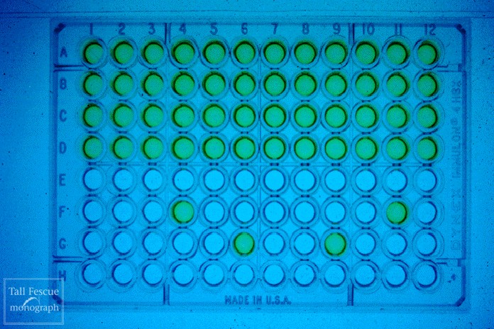 Phytoscreen Kit for Plant Tissue Ergot Alkaloids