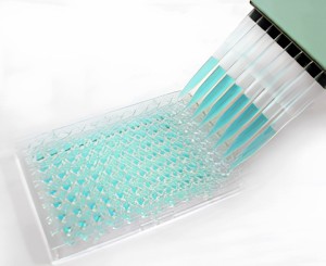 Phytoscreen tiller ergot alkaloid kit