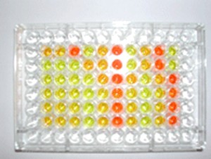 Phytoscreen urine creatinine kit