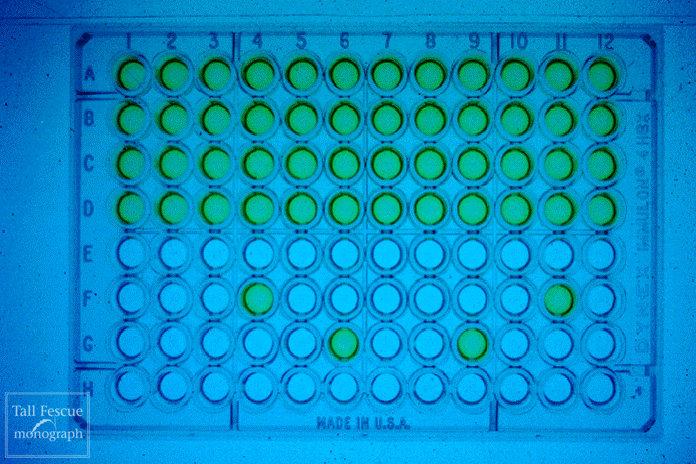 alkaloid plate